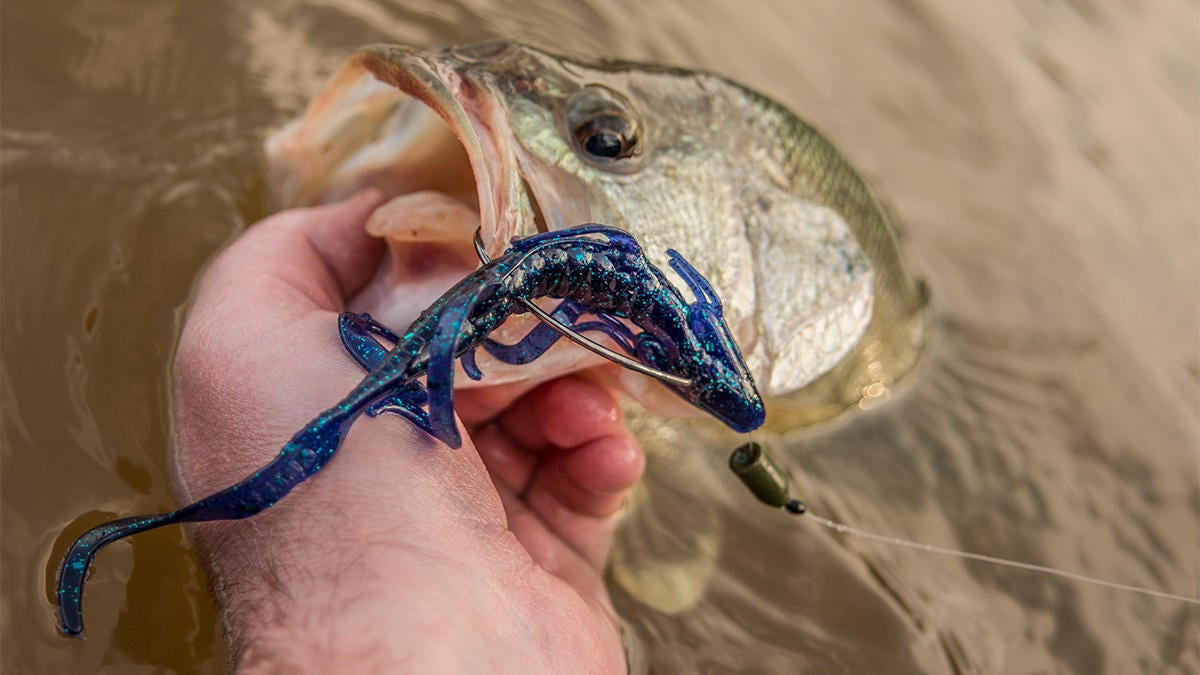 Culprit Water Dragon Review - Wired2Fish