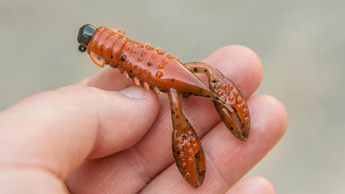 Z-Man TRD CrawZ Review - Wired2Fish