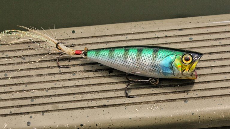 5 Must-Have Beginner Baits for Bass Fishing