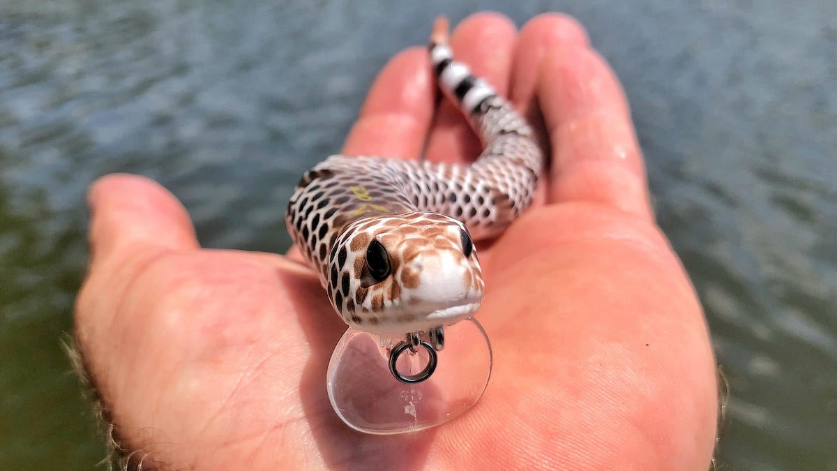 Savage Gear 3D Wake Snake : Brown Chrome; 12 in.