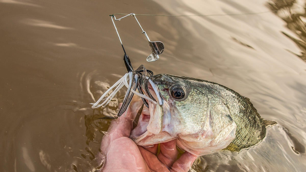 Advantage Top Chop Buzzbait Review - Wired2Fish