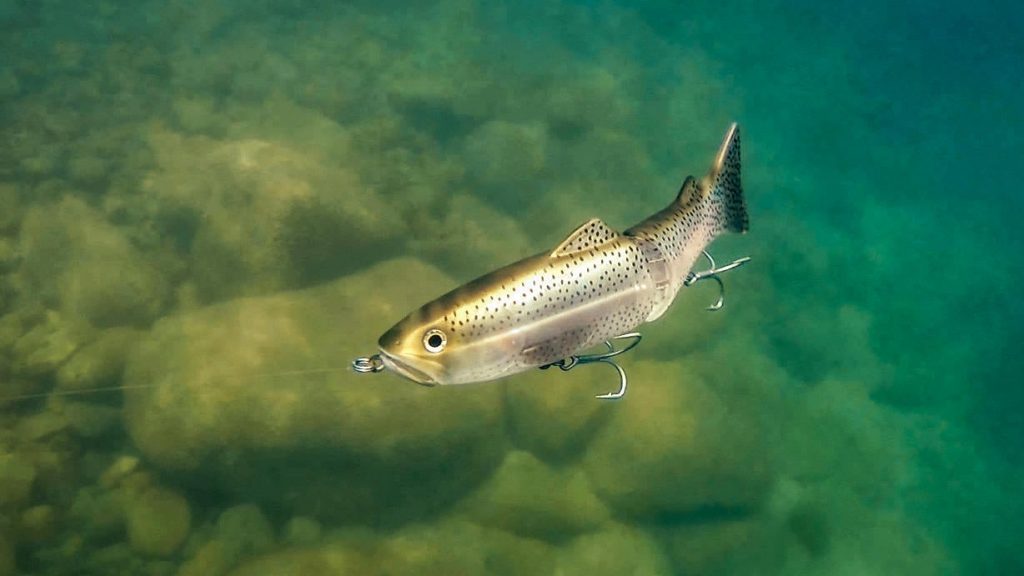 Choosing Glide Baits for Bass Fishing