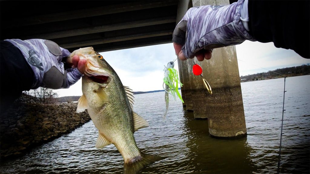 Where to Focus Your Spinnerbait Fishing in Dirty Water - Wired2Fish