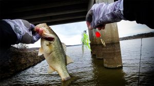 Where to Focus Your Spinnerbait Fishing in Dirty Water