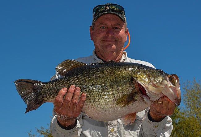Angler Catches 14-pounder on Fork