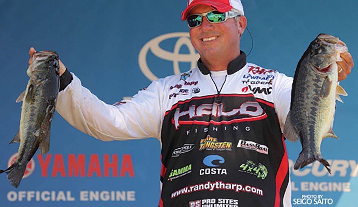 Tharp Signs with Zoom - Wired2Fish
