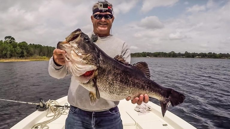 Angler Catches, Releases 46-pound Limit on Video