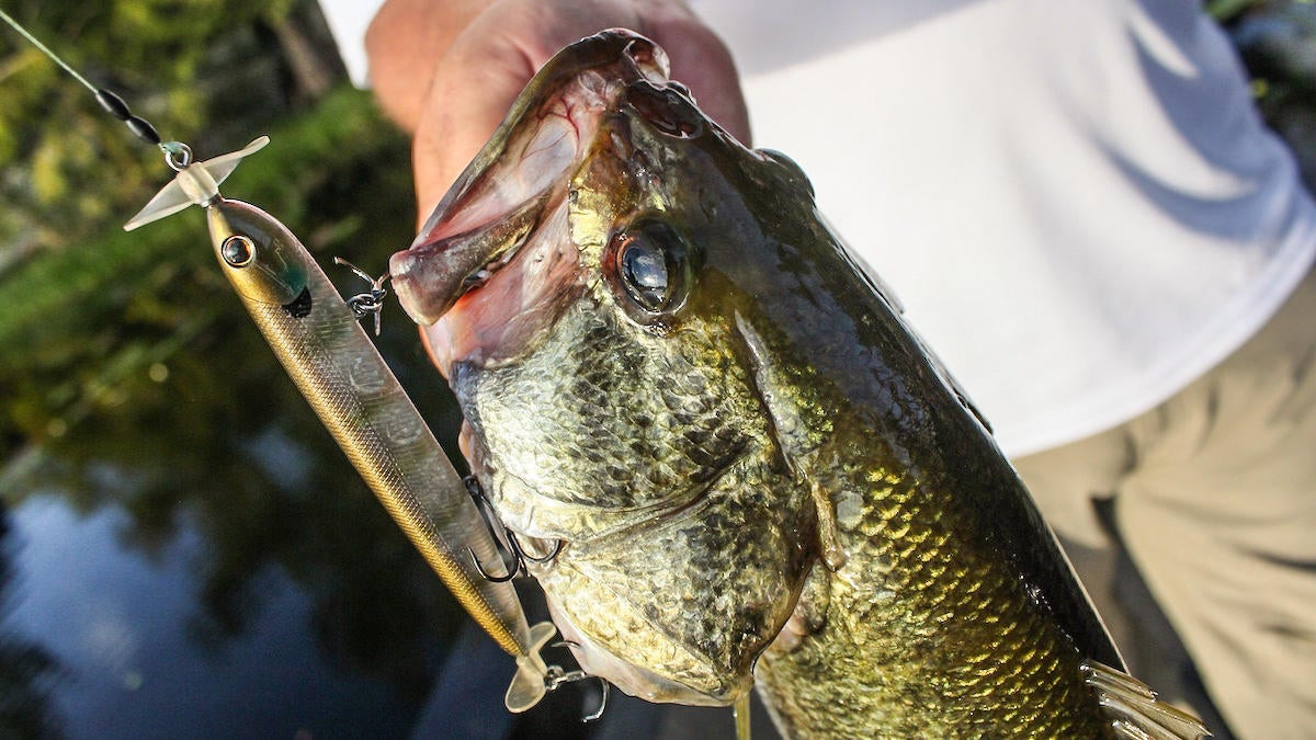 3 Unique Ways to Use a Bobber Stopper for Bass Fishing - Wired2Fish