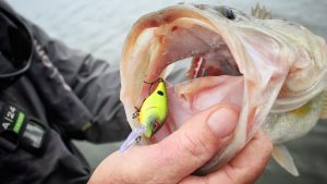 Team Ark MiniDiver Crankbait Review