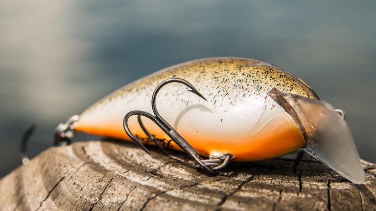 Bagley Pro Sunny B Crankbait Review