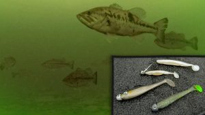 Bass Fishing Offshore With Swimbaits