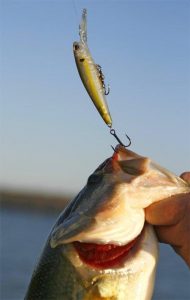 5 Fishing Tips for the Common Cold