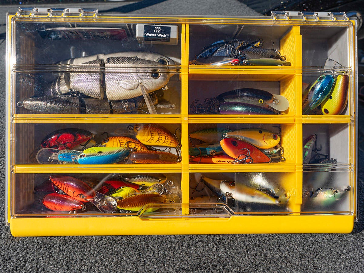Fly Fishing Box: A well-used tackle box displays a variety of