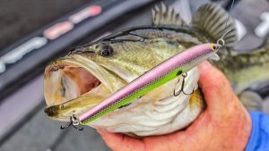 How to Catch More Big Bass behind Someone… Including Yourself