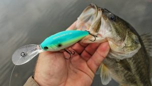 Duel Hardcore Crankbait 4+ Review