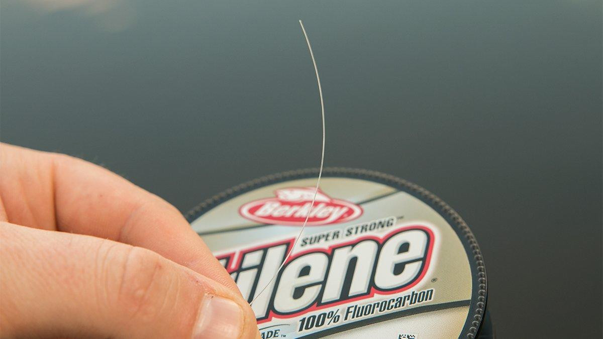 SpiderWire Stealth Braid Fishing Line and Berkley Trilene 100% Fluorocarbon  Fishing Leader Dual Spools : : Sports, Fitness & Outdoors