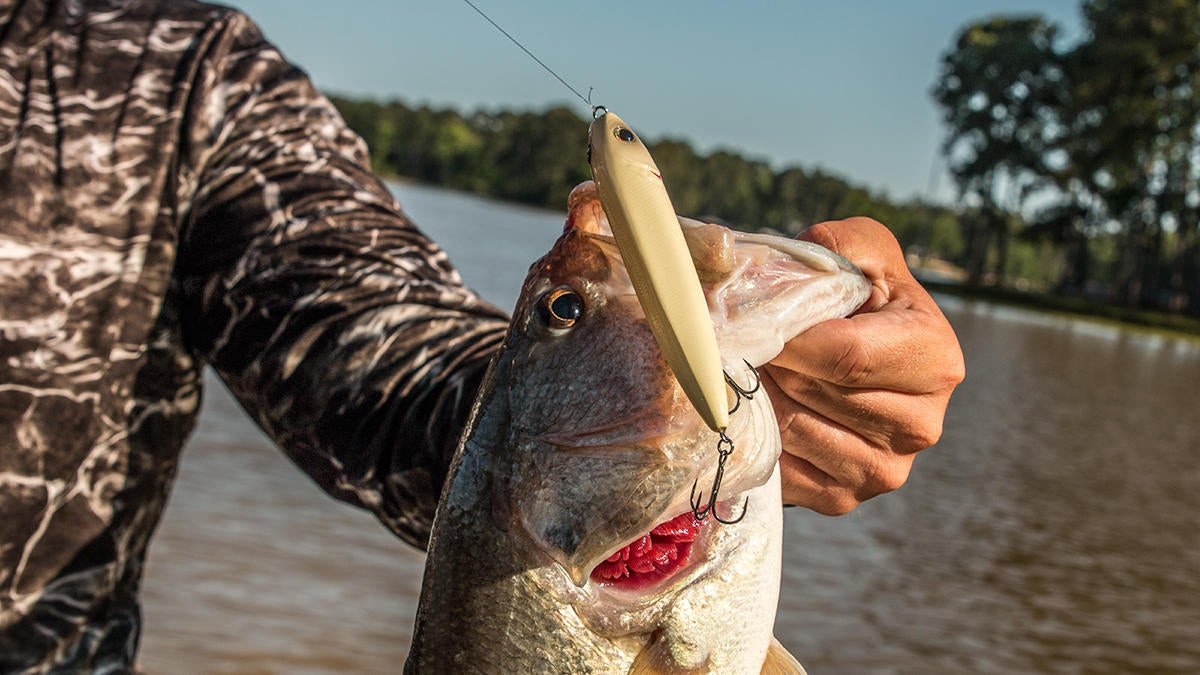 How to Catch Big Bass in Low-Water Conditions - Wired2Fish