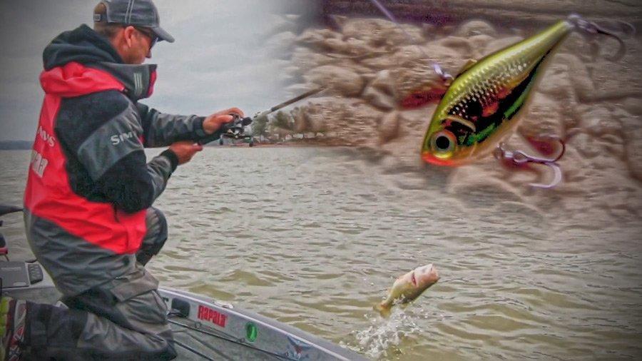 Fishing Lipless Crankbaits for Spring Bass - Wired2Fish
