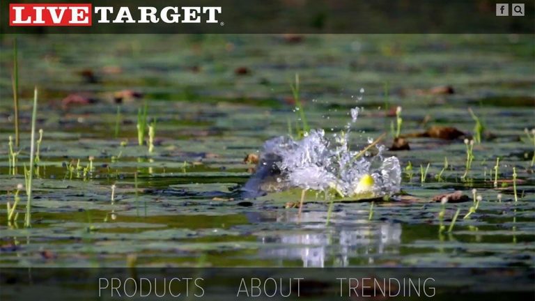 LIVETARGET Launches New Website