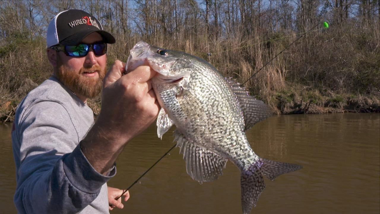 Catch more Crappie with a Simple Bobber and Live Minnow Rig (Catch