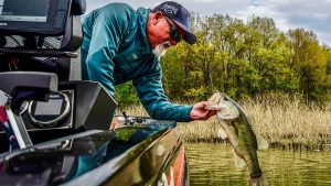 Focus on Isolated Cover to Catch Big Bass