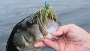 Mags Lure Co. Jigs Featuring Pewter Heads