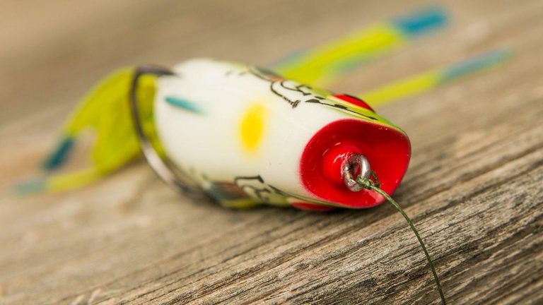 Strike King KVD Popping Perch Review