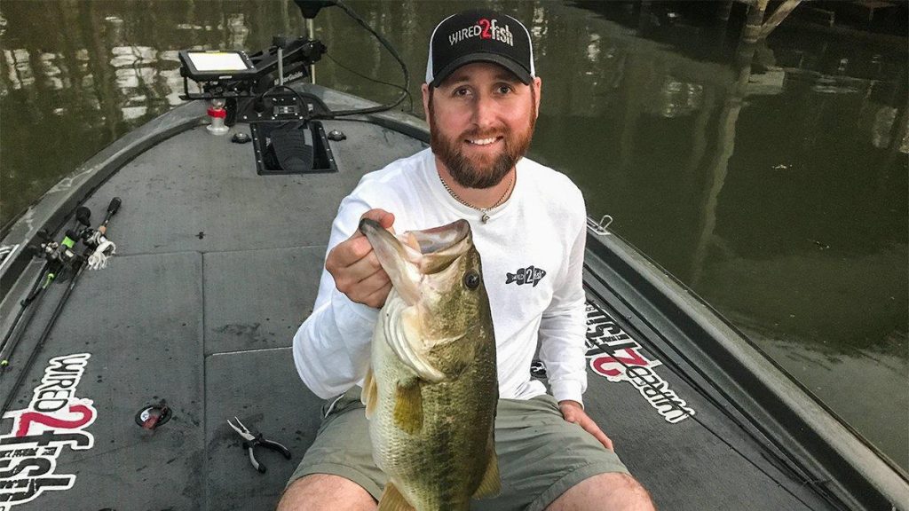 5 Common Chatterbait Mistakes to Avoid Wired2Fish