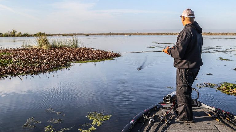 Fall Bass Fishing with Big Baits Can Lead to Huge Bass