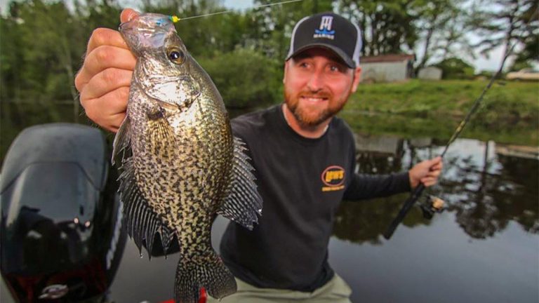 3 Reasons to Target “Other” Fish This Summer