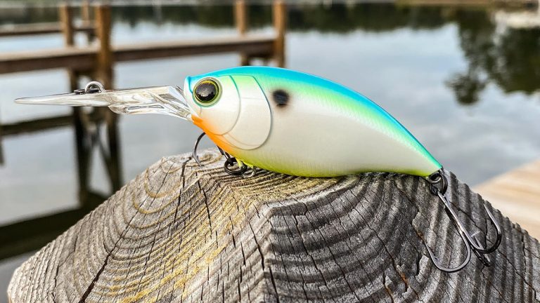 5 Bass Fishing Crankbaits I’m Excited to Try This Fall