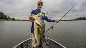 How to Catch More Bass with Buzz Toads