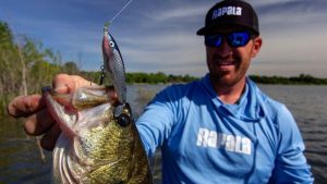 Target Bass With Single Prop Topwater Baits