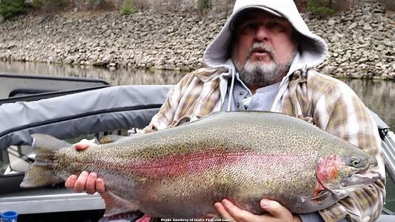 Idaho Angler Catches, Releases Record Rainbow