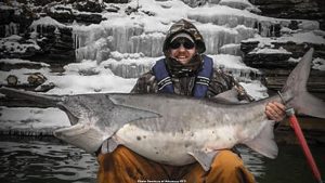 Record-Breaking Paddlefish Caught in Arkansas