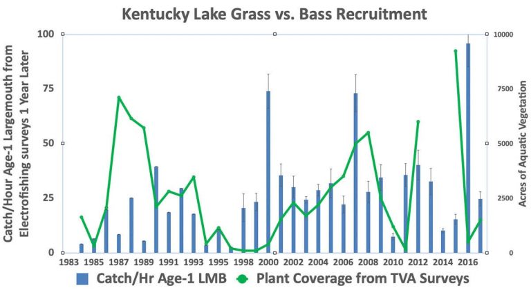 Largemouth Bass Populations: What Affects Bass Fishing on Large Reservoirs