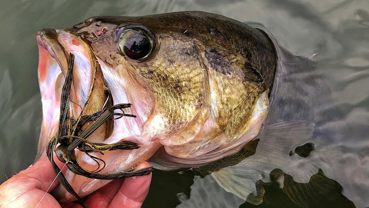 Learn All About Underestimated Swim Jig For Bass Fishing