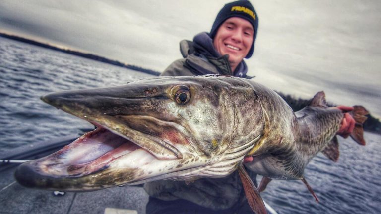 Live Bait Rigging Late Fall Pike and Musky