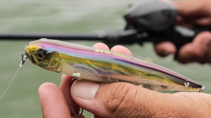 Walking Topwater Tips: Basic to Advanced