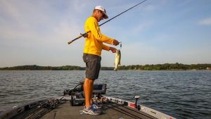 Fishing for Schoolers on Flats