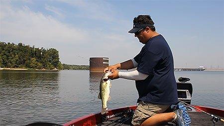 What Lures for Transitioning Bass in the Fall - Wired2Fish
