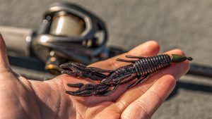 X Zone Lures Punisher Punch Craw Review