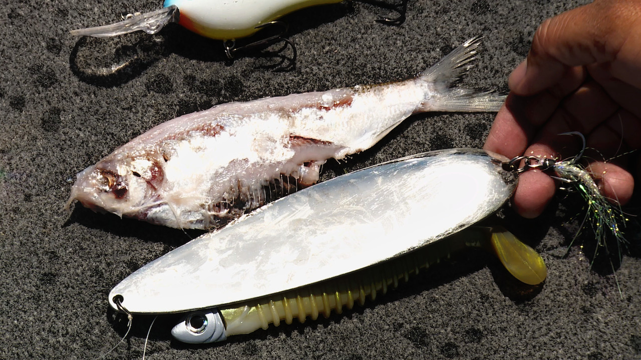 Understanding Big Bait Trends in Bass Fishing - Wired2Fish