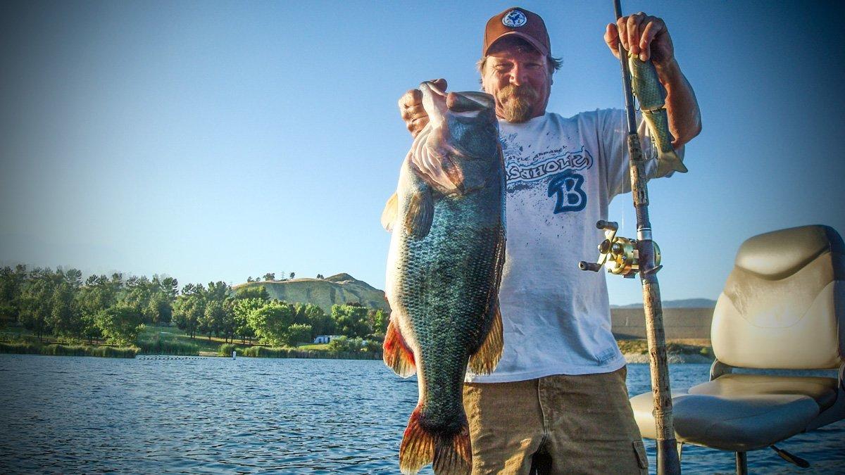 Learn to Fish Glide Baits for Giant Bass - Wired2Fish