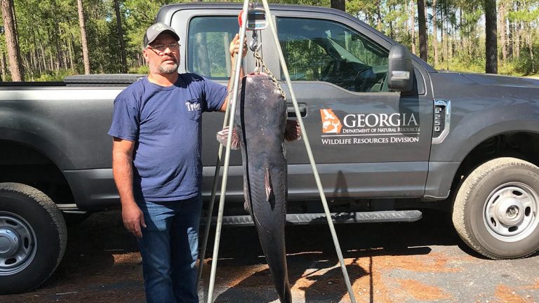 Giant Catfish Breaks State Record