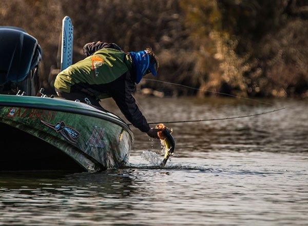 Are You Landing Your Bass Correctly?