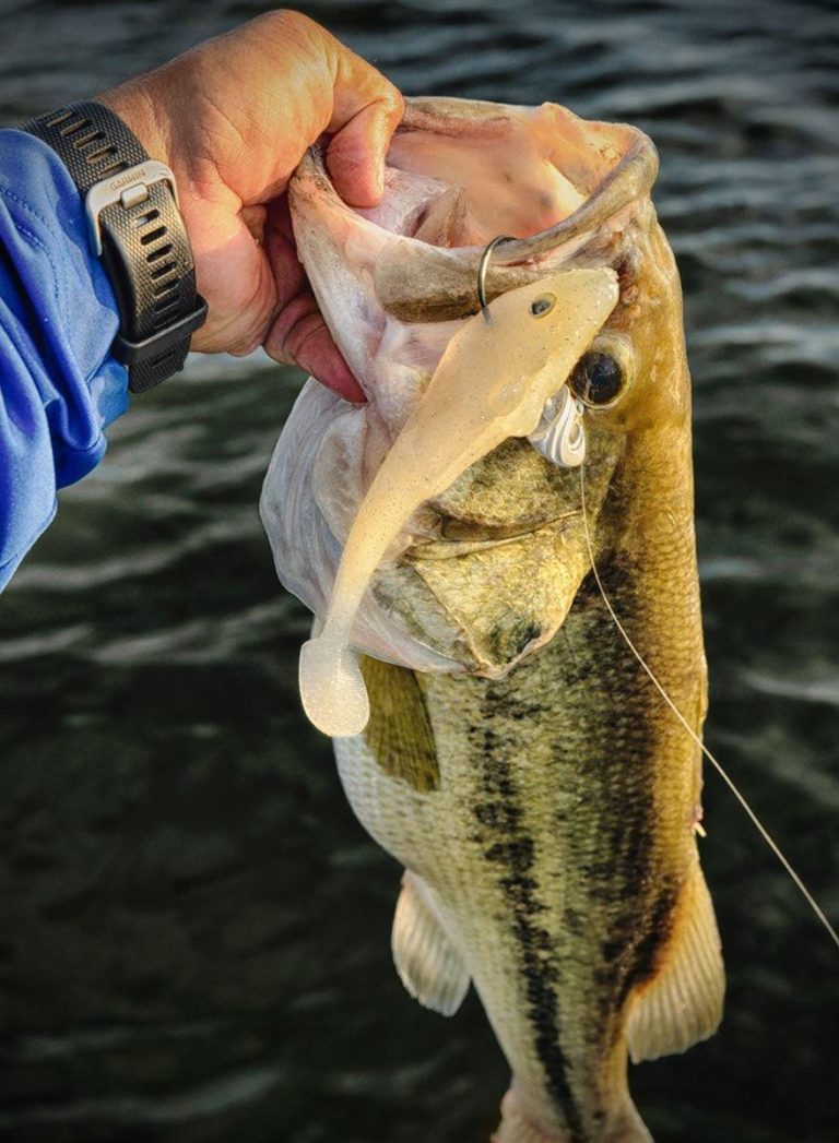 5 Tricks to Fish a Deep Swimbait for Bass in Heavy Current