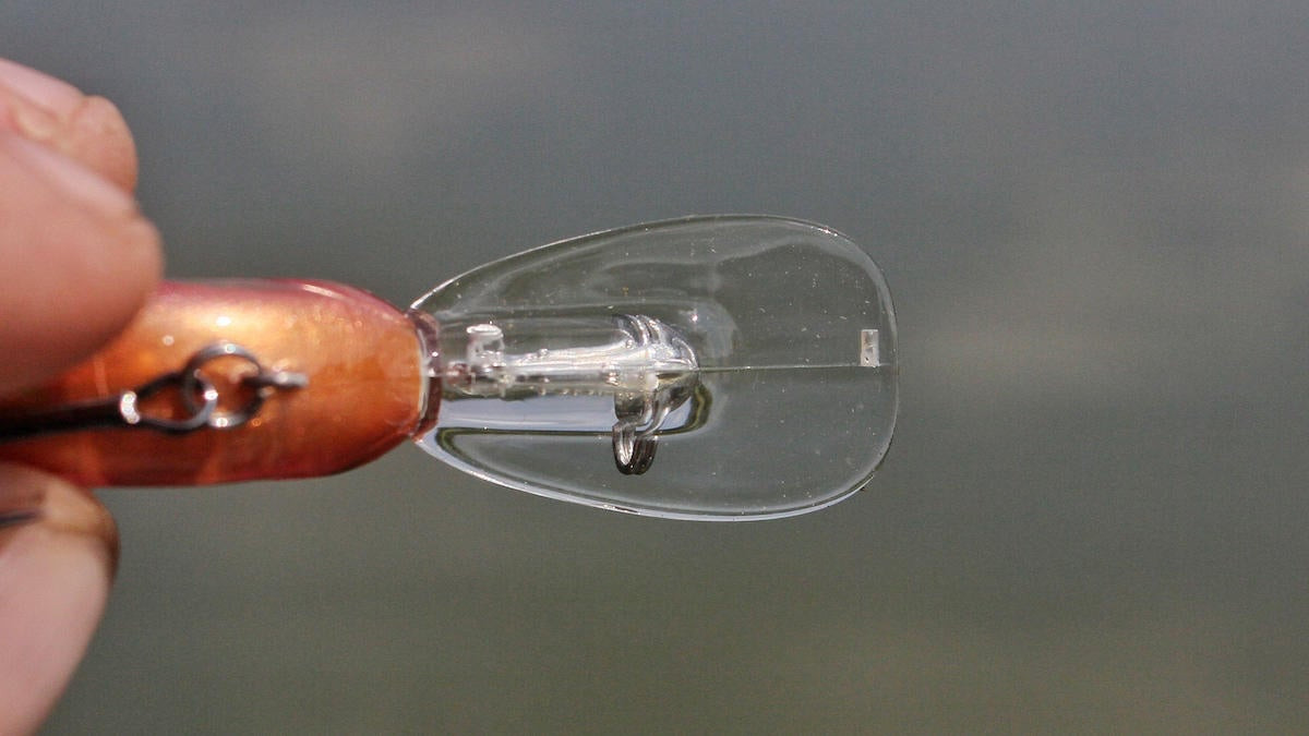 SPRO Little John Micro DD 45 Crankbait Review - Wired2Fish