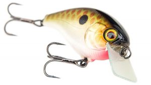 Jackall Aska SR Crankbait Review