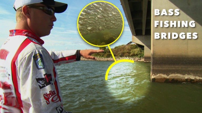 Tips on Dissecting Bridges for Bass